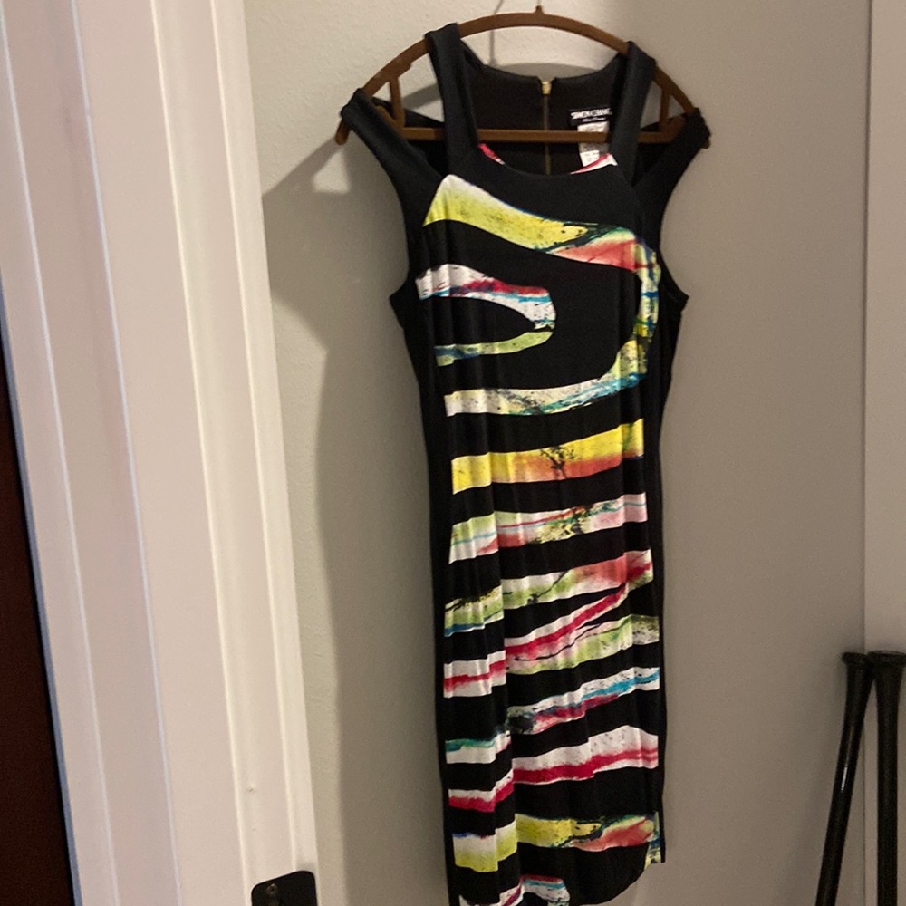 Simon Chang - sundress.   Multi color front print.  Wore 1 ti